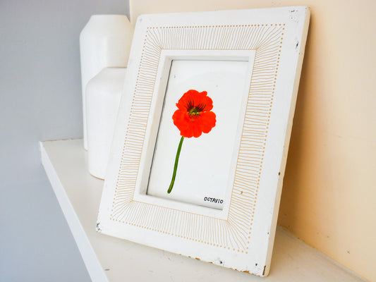 Nasturtium Flower Acrylic.