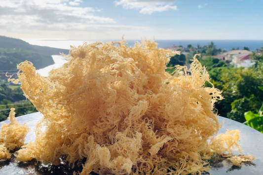 Sun Dried Sea Moss